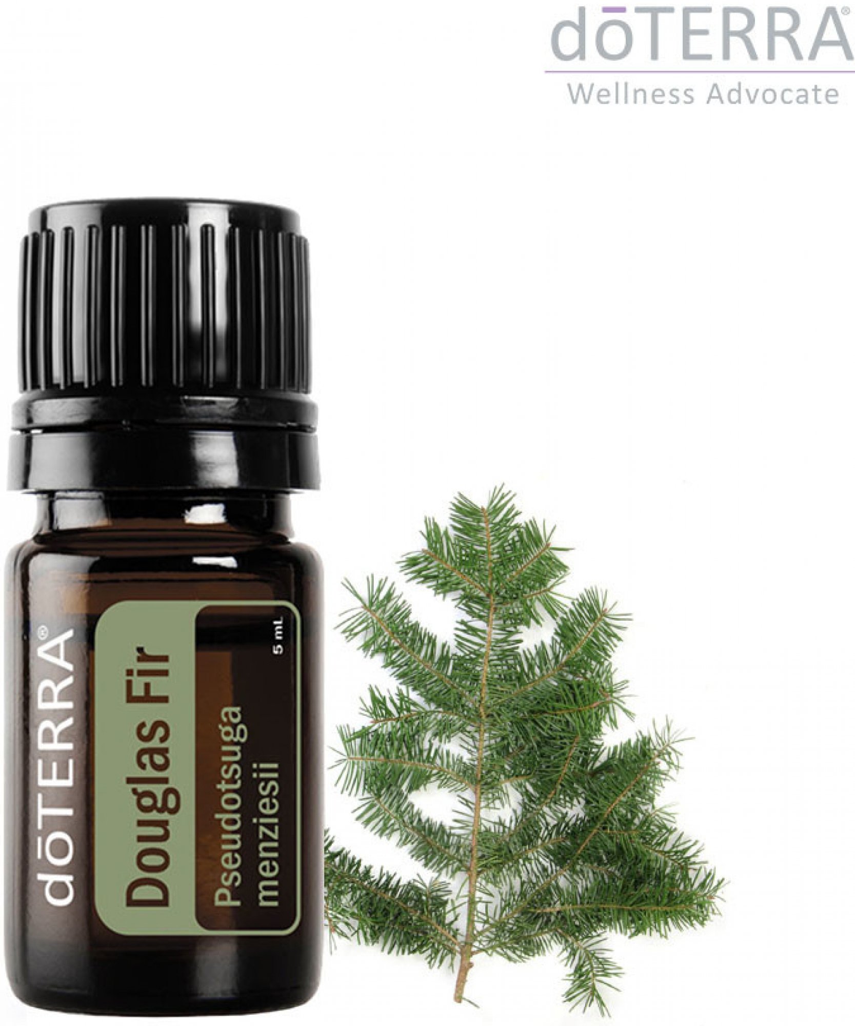 DoTerra esenciálny olej Douglas Fir Douglasova jedľa 5 ml