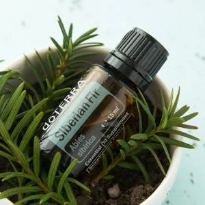 DoTerra Siberian Fir Sibírska jedľa esenciálny olej 15 ml