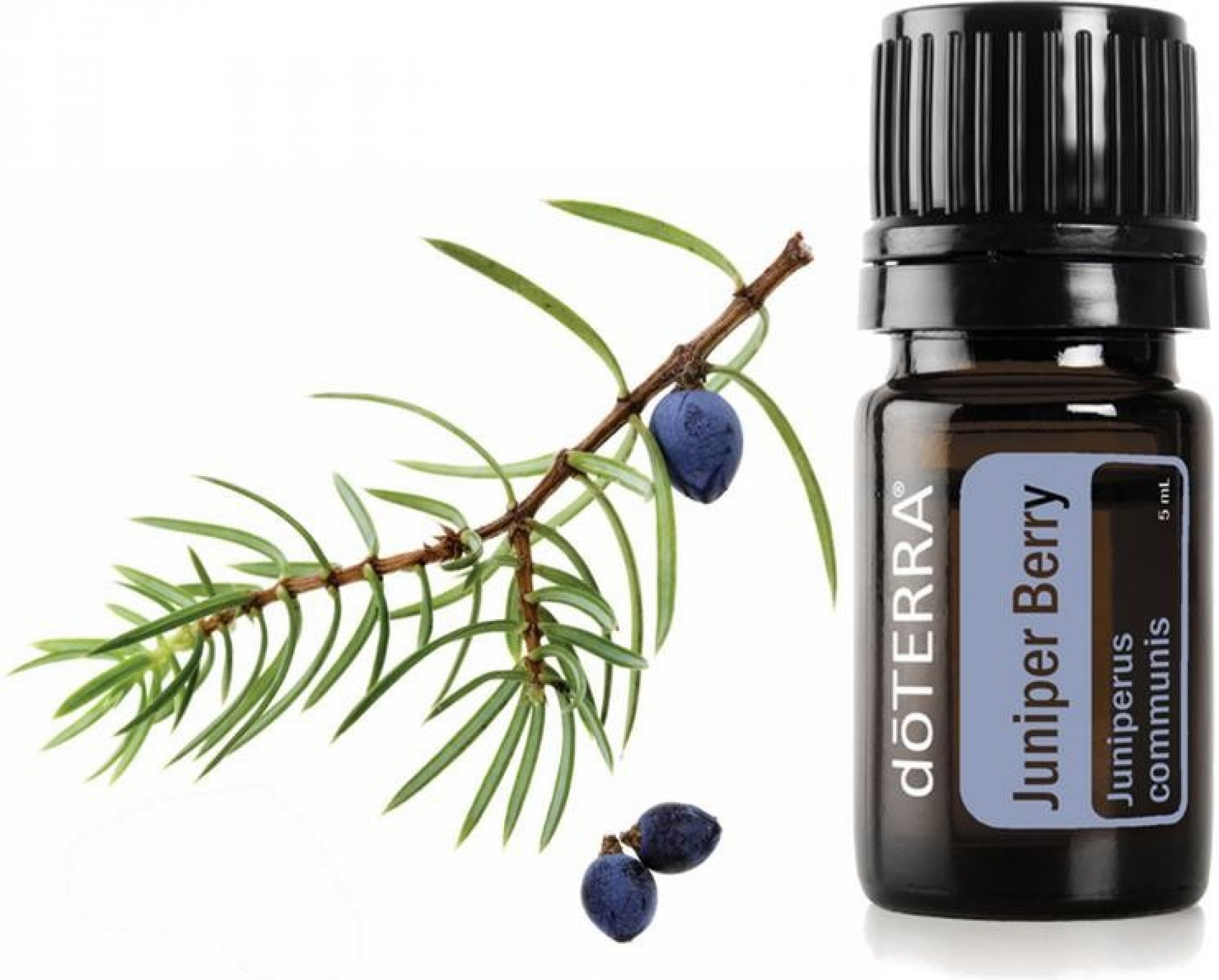doTerra Juniper Berry 5 ml