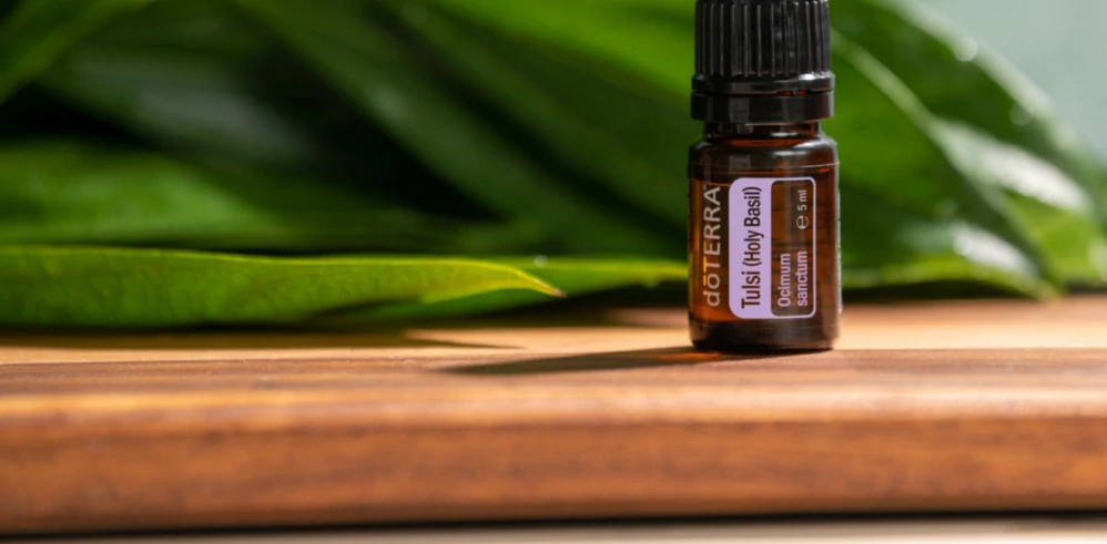 DoTerra Tulsi Holy Basil Bazalka posvätná 5 ml
