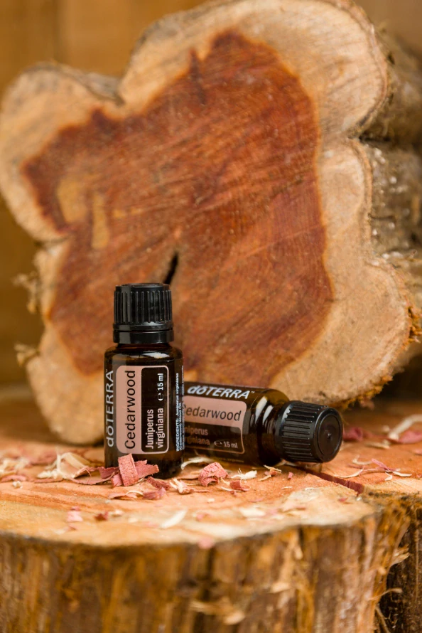 DoTerra Cedarwood Esenciálny olej cédrové dreva 15 ml