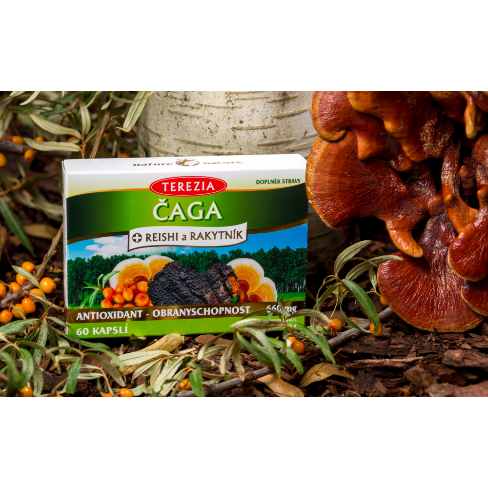 Terezia Company Reishi ,Čaga a Rakytník 60 kapsúl