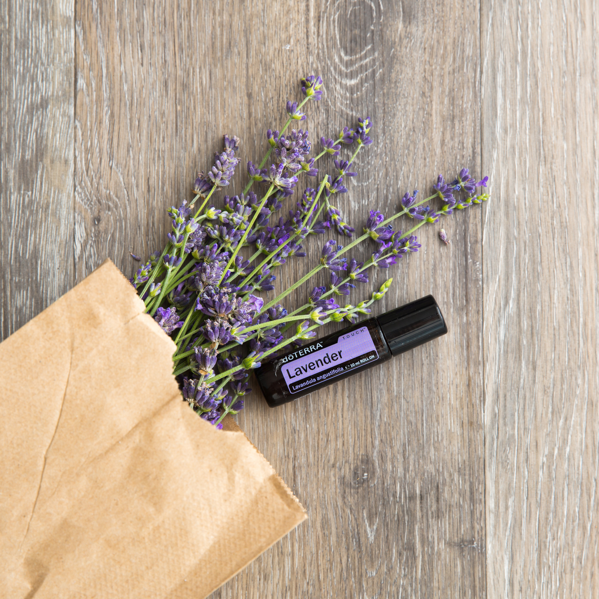 dōTERRA Touch Lavender zmes levandule v guličke 10 ml