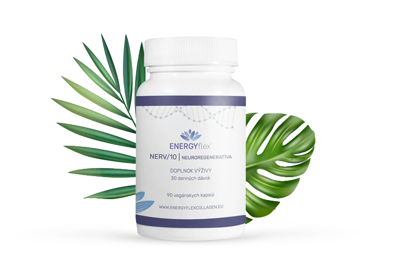 EnergyFlex Nerv/10 90 kapsúl