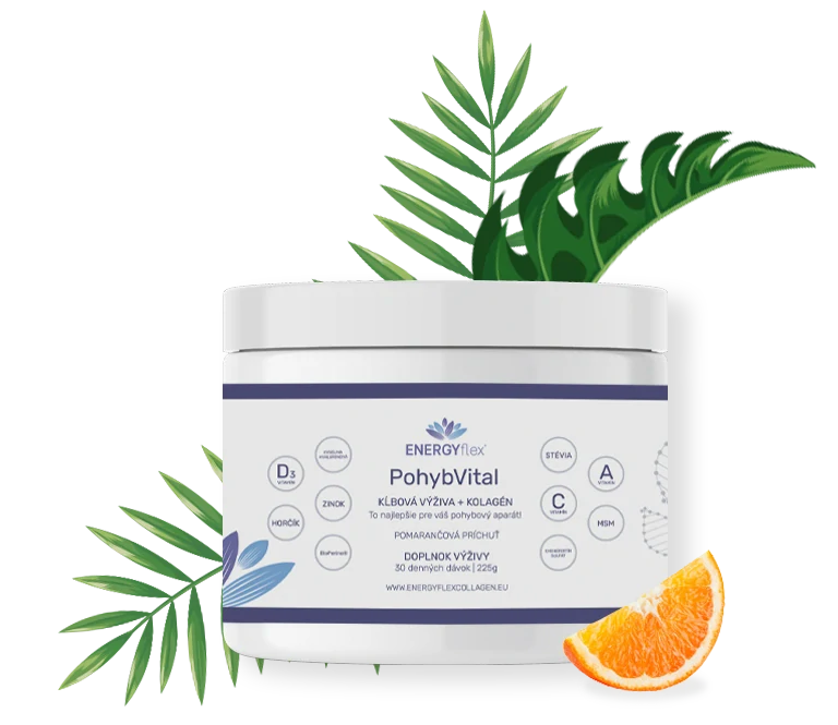 EnergyFlex PohybVital 30 dávok