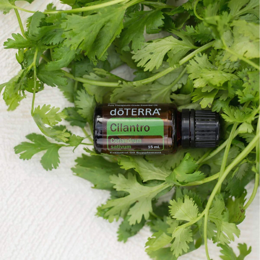 Doterra Cilantro 15 ml
