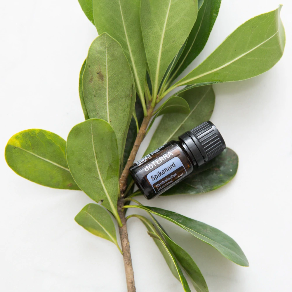doTerra Esenciálny olej Spikenard 5 ml