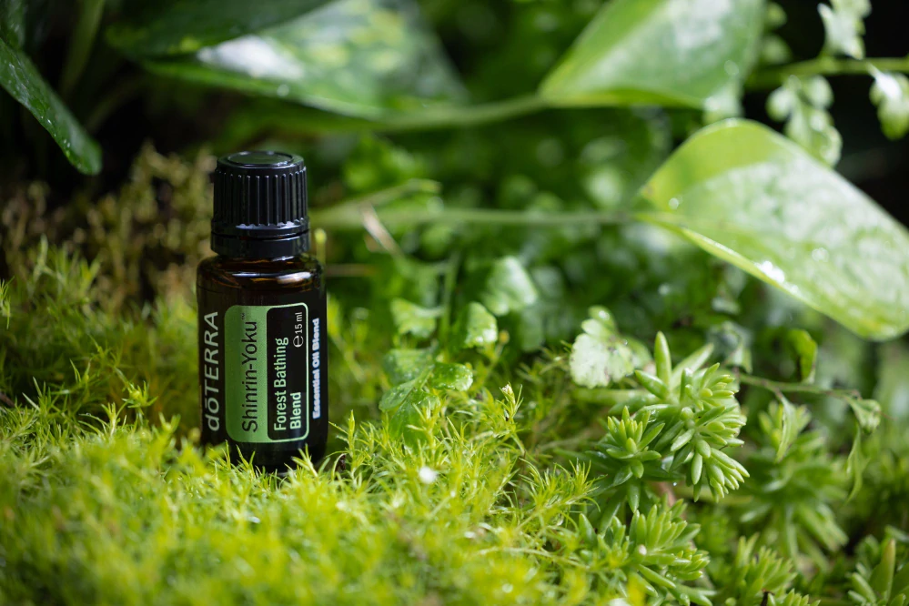 doTerra Esenciálny olej Shinrin Yoku 15 ml